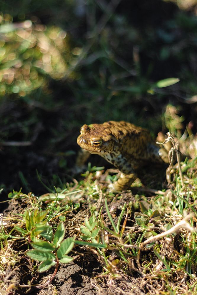 Photograph by Anna Dubinina