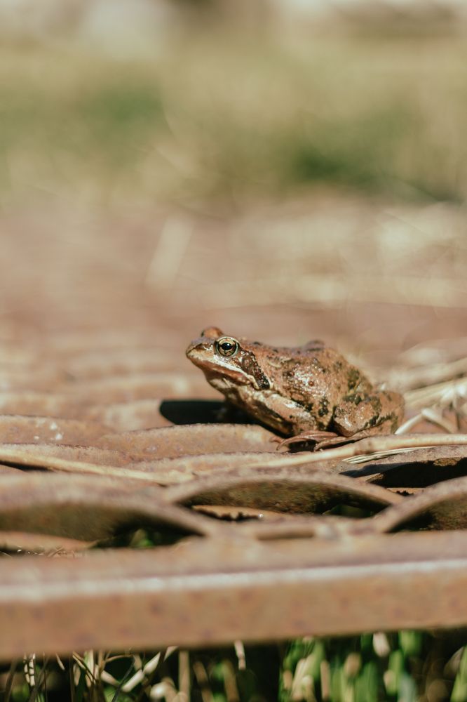 Photograph by Anna Dubinina