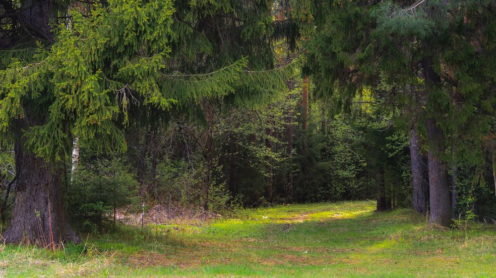 Photograph by Николай Путинцев