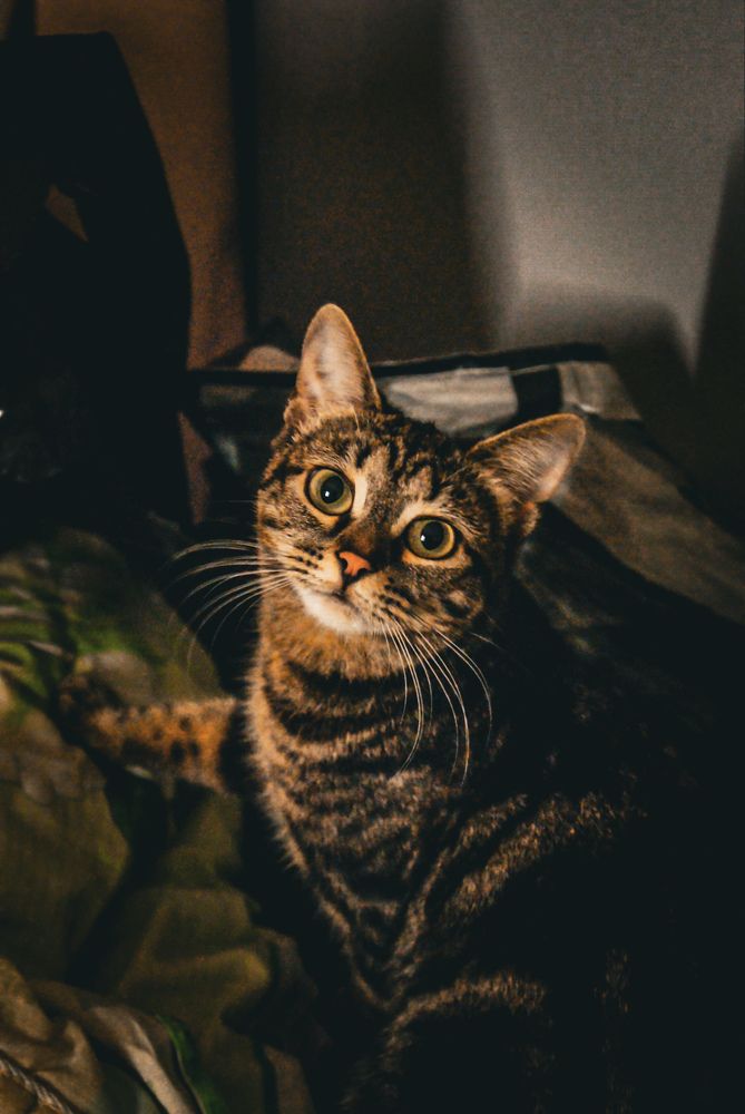 Photograph by Диана Байбуза