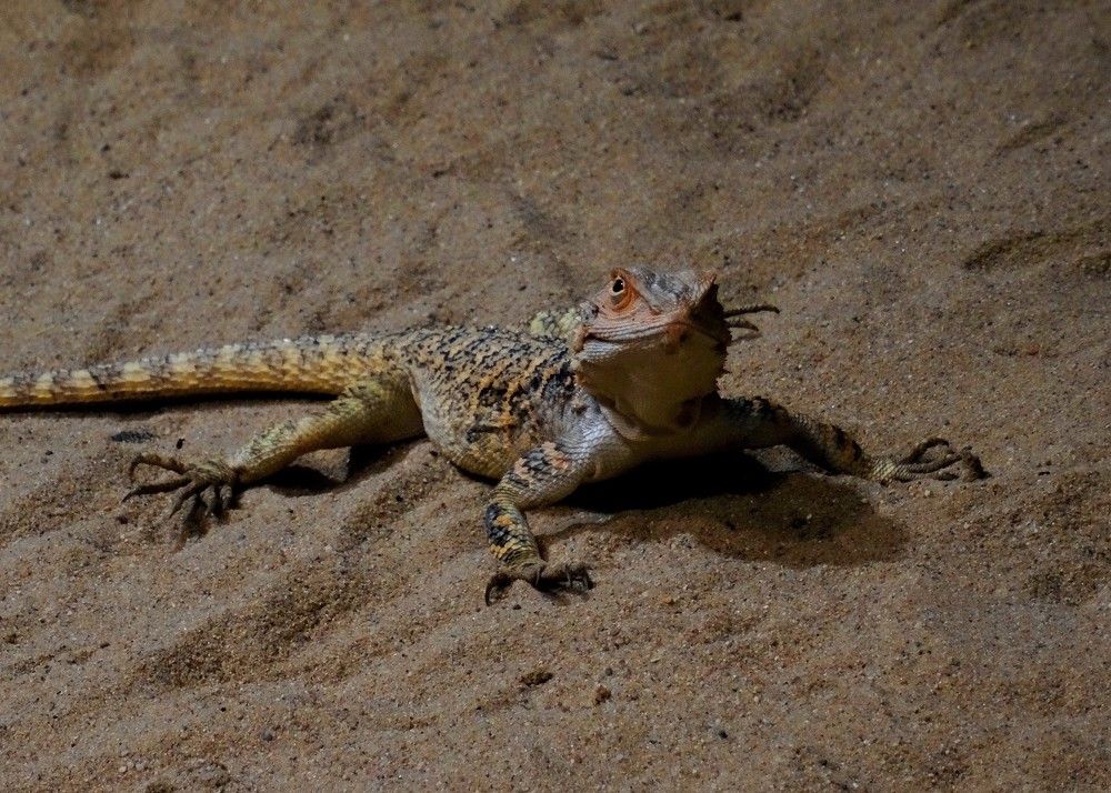 Photograph by Марина Раткун