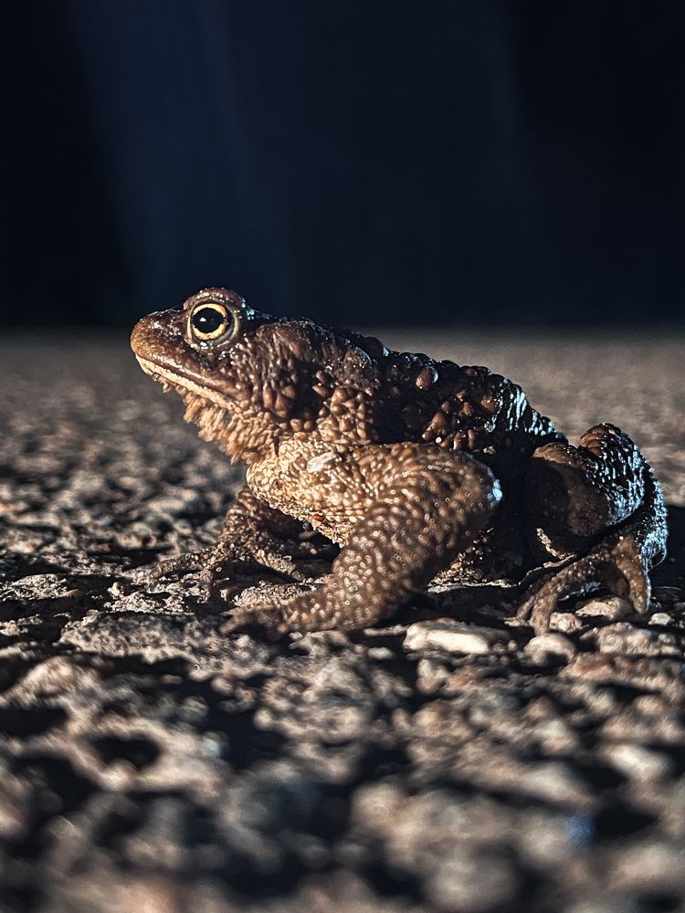 Photograph by Елена Гайдай