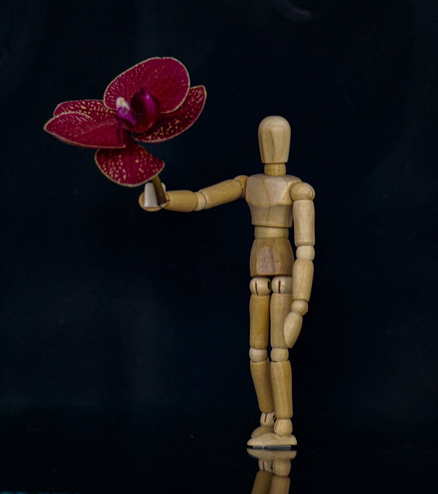 Photograph by George Catalin Serbu