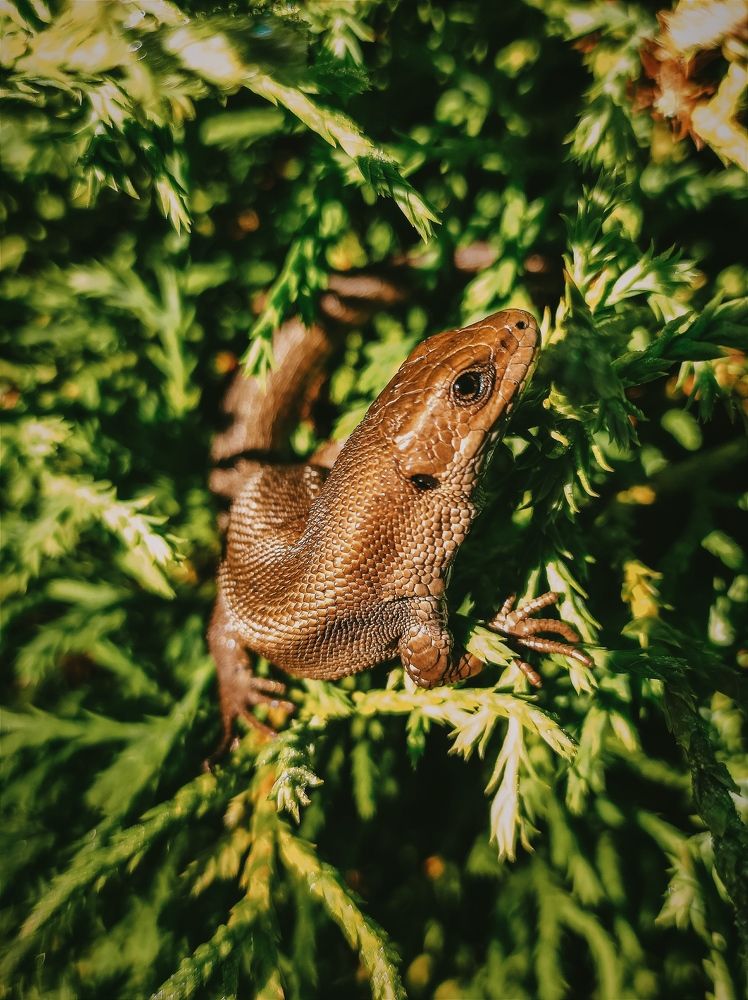 Photograph by Юлия