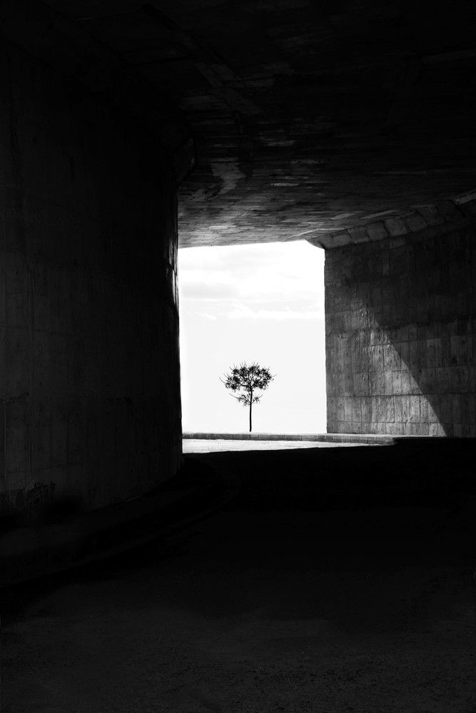 Photograph by Ava Nasiri