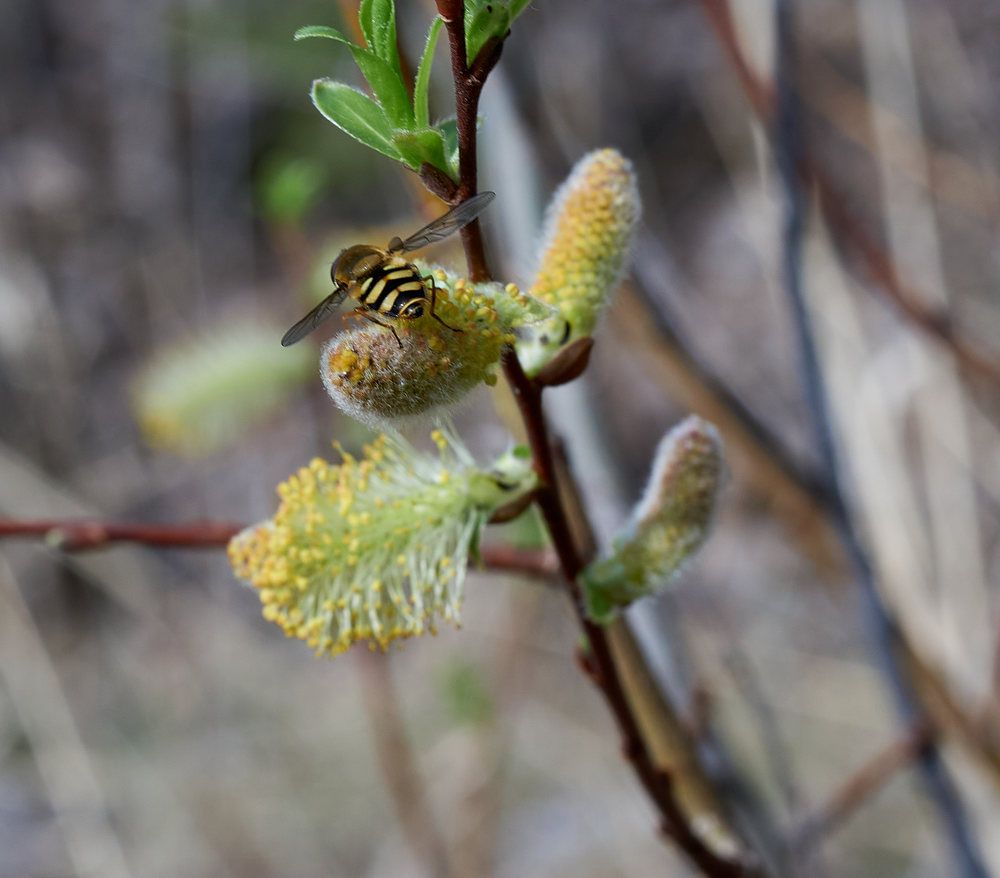 Photograph by Дмитрий Соколов