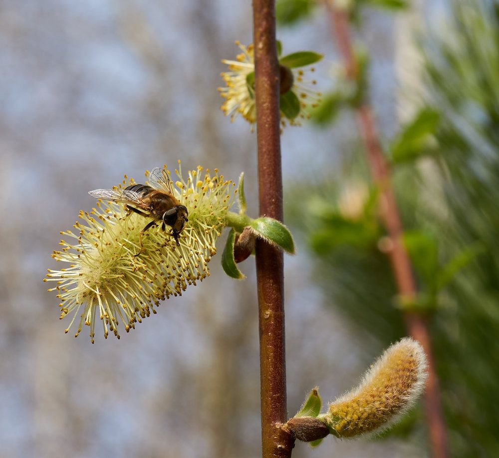 Photograph by Дмитрий Соколов
