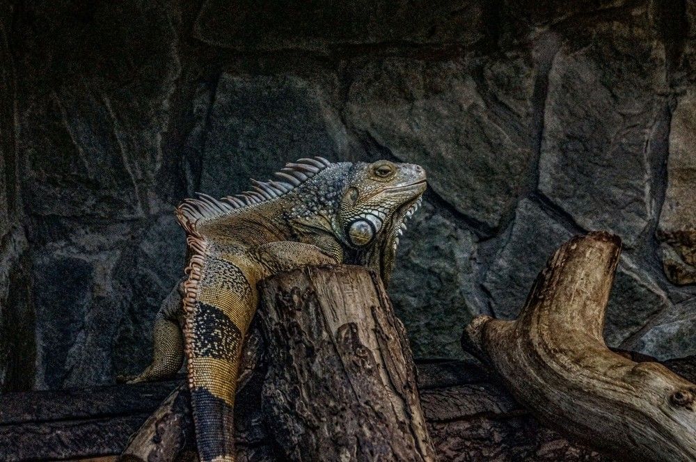 Photograph by Алексей Логинов