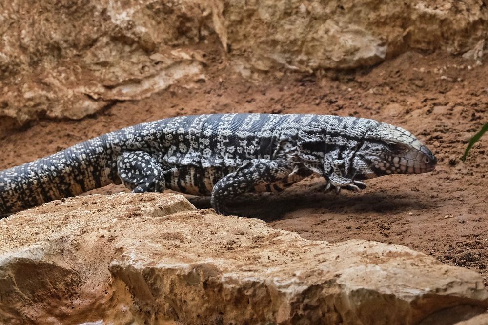 Photograph by Leonid Radashkovsky