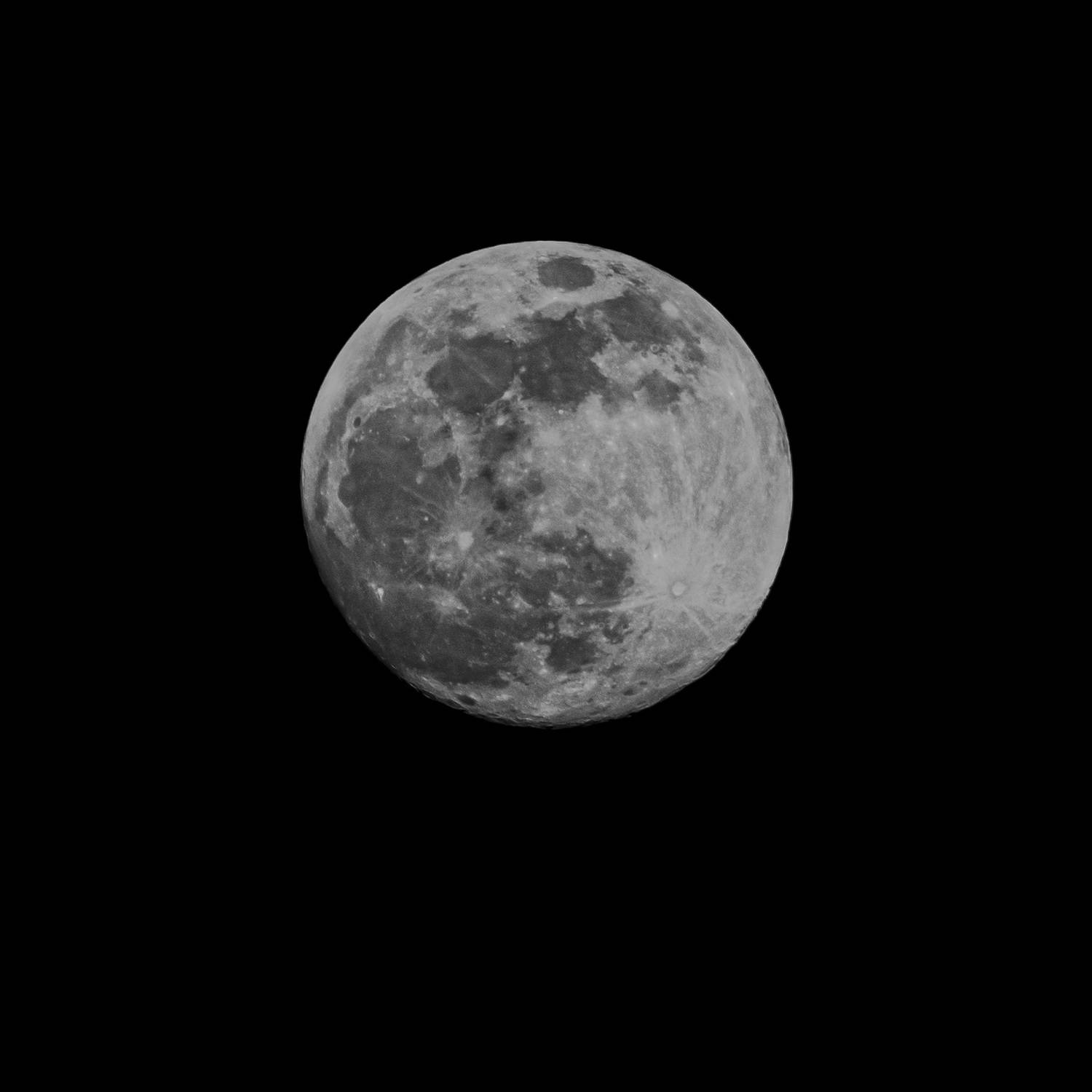 Photo #9117456