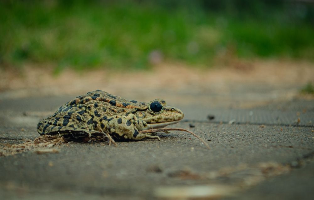 Photograph by Анна