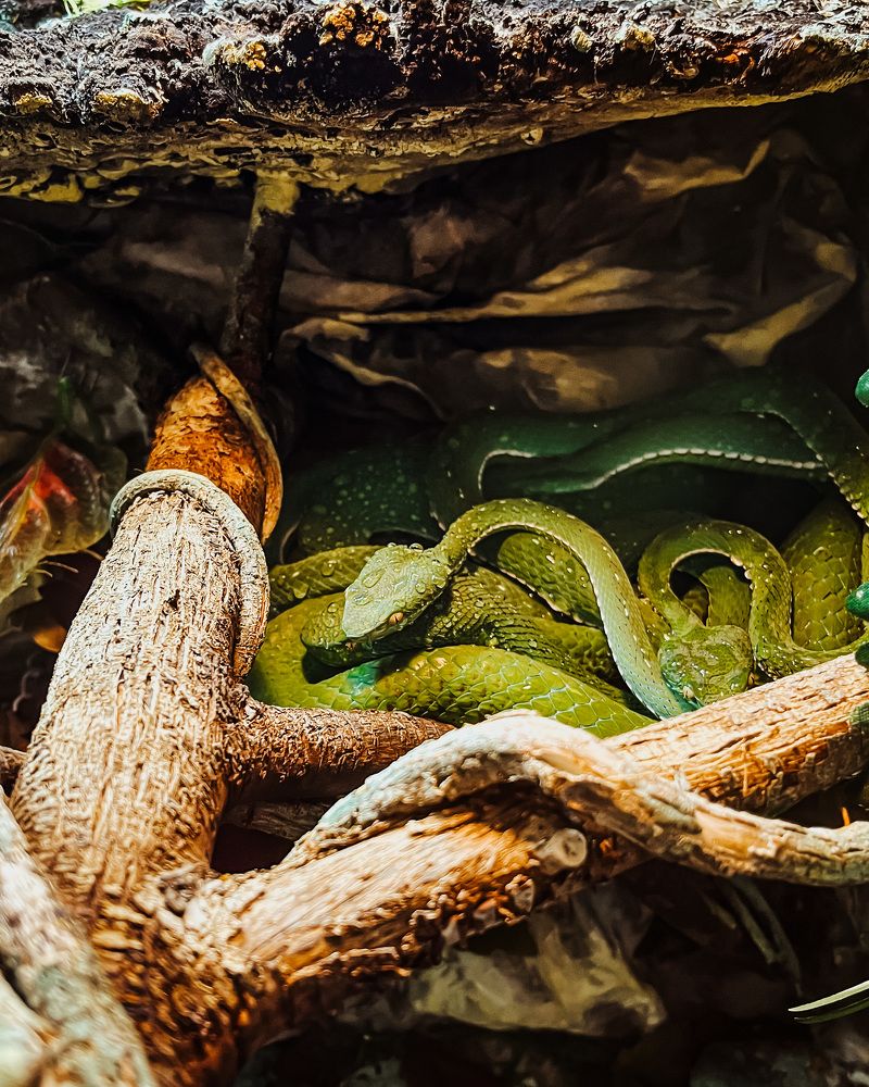 Photograph by Максим Зенкевич