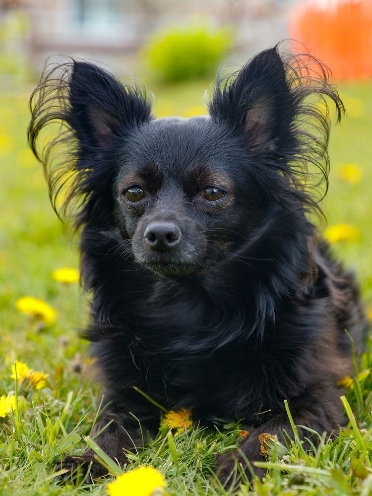 Photograph by Екатерина Слепнева