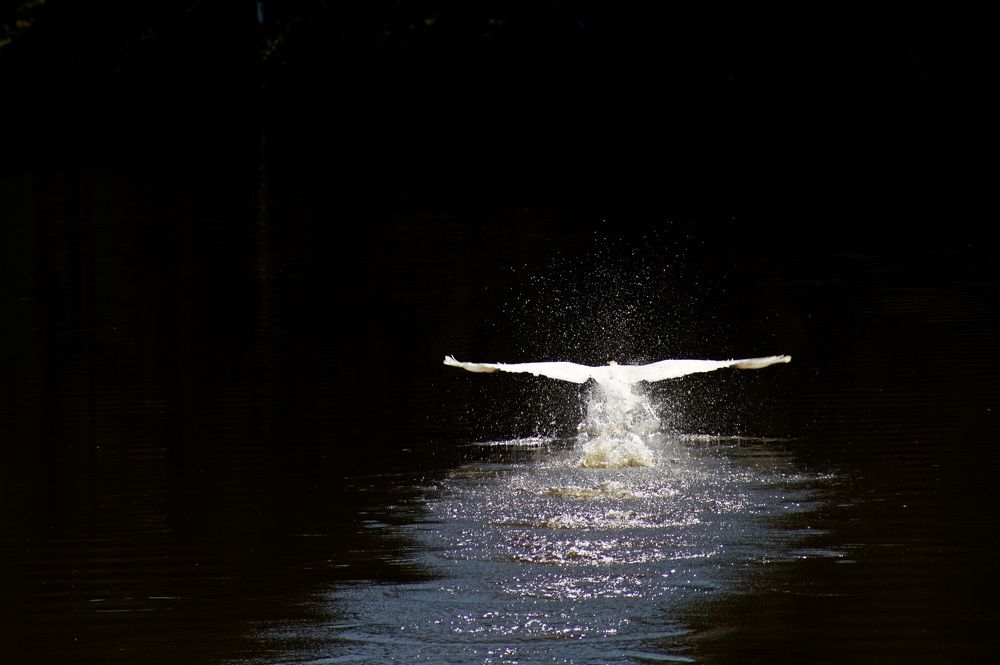 Photograph by Andreas Koff