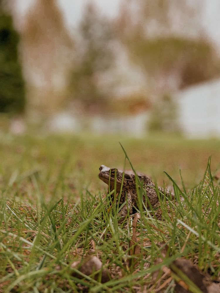 Photograph by Ольга Гончарова