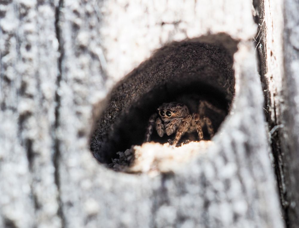 Photograph by Азат Кадиров