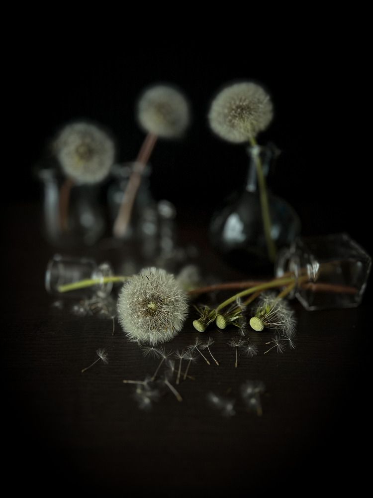 Photograph by Алена Жирова