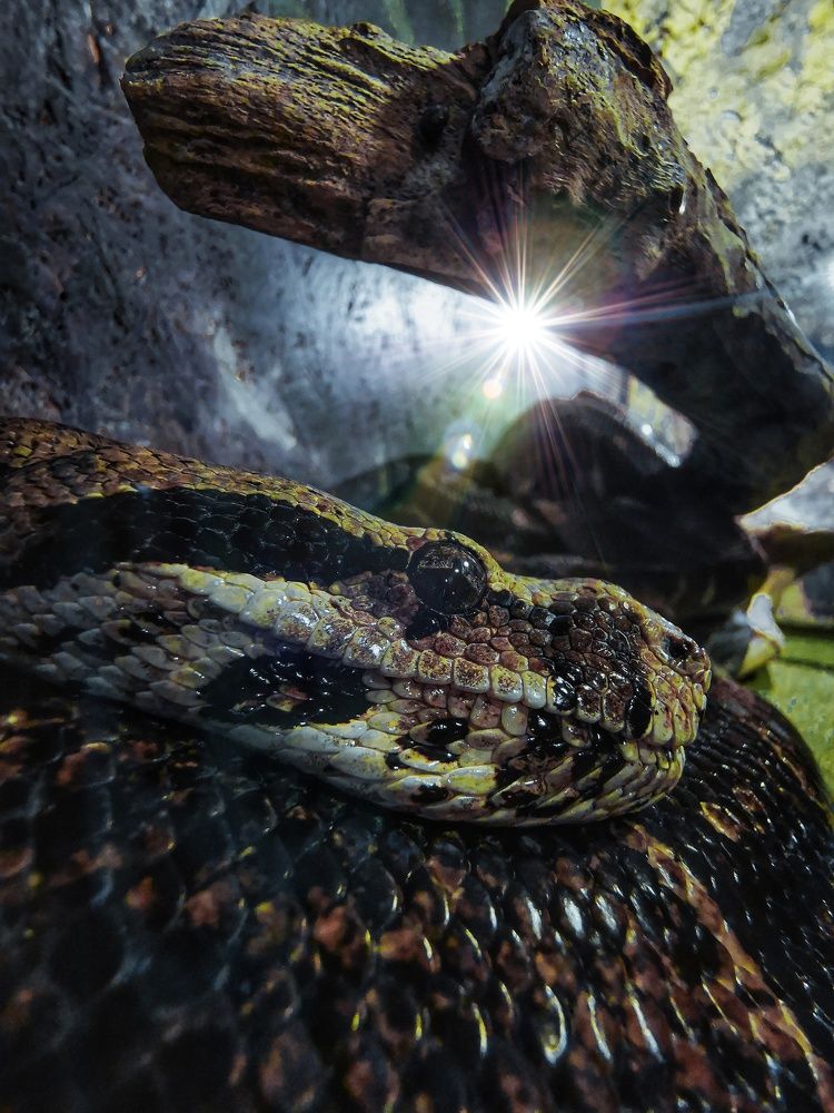 Photograph by Мария Цепилова