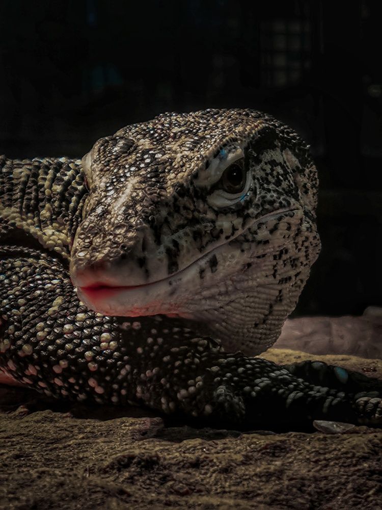 Photograph by Мария Цепилова