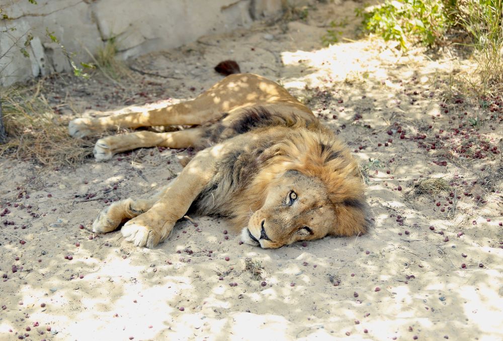 Photograph by Елена Ковалева