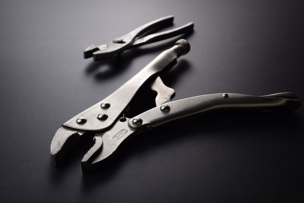 Photograph by Sarah Mirzakazemi