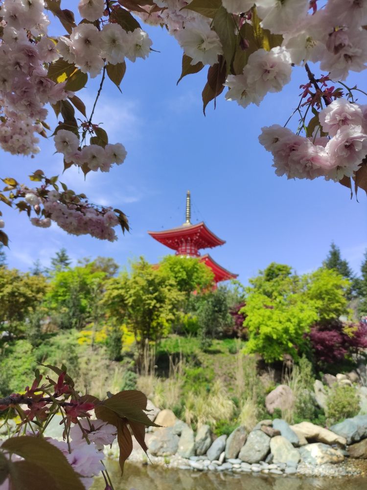 Photograph by Ирина Алексеевская