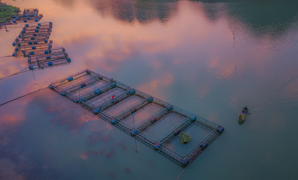 Photograph by Minh Chu Van