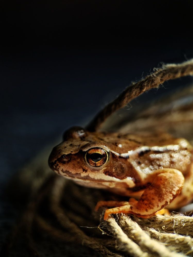 Photograph by Светлана Смирнова