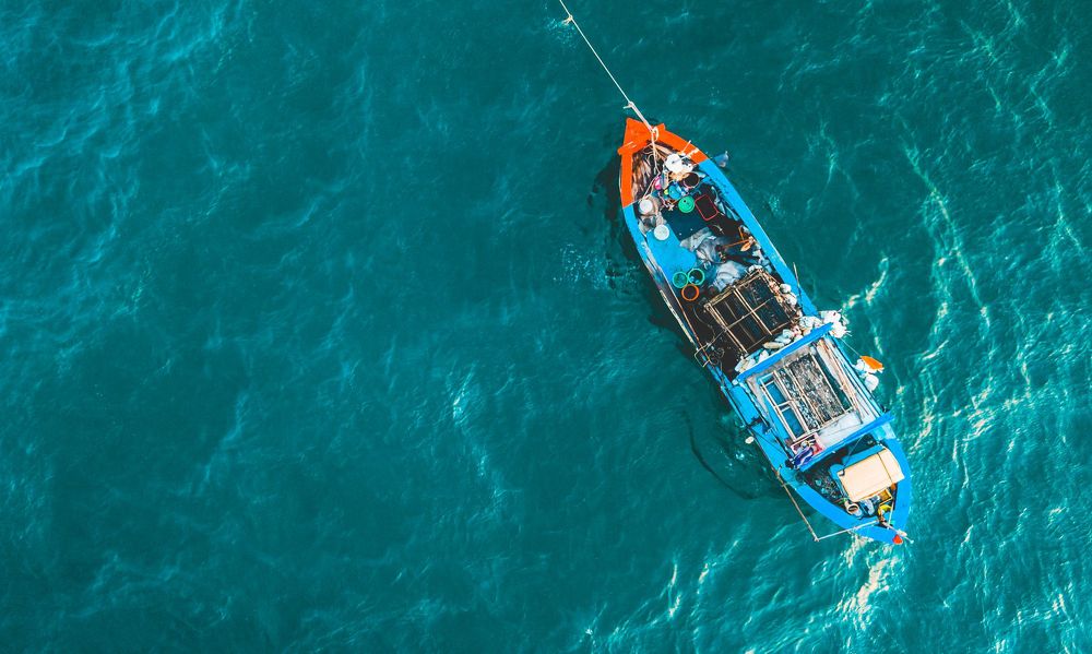 Фотография автора Pham Anh Vu