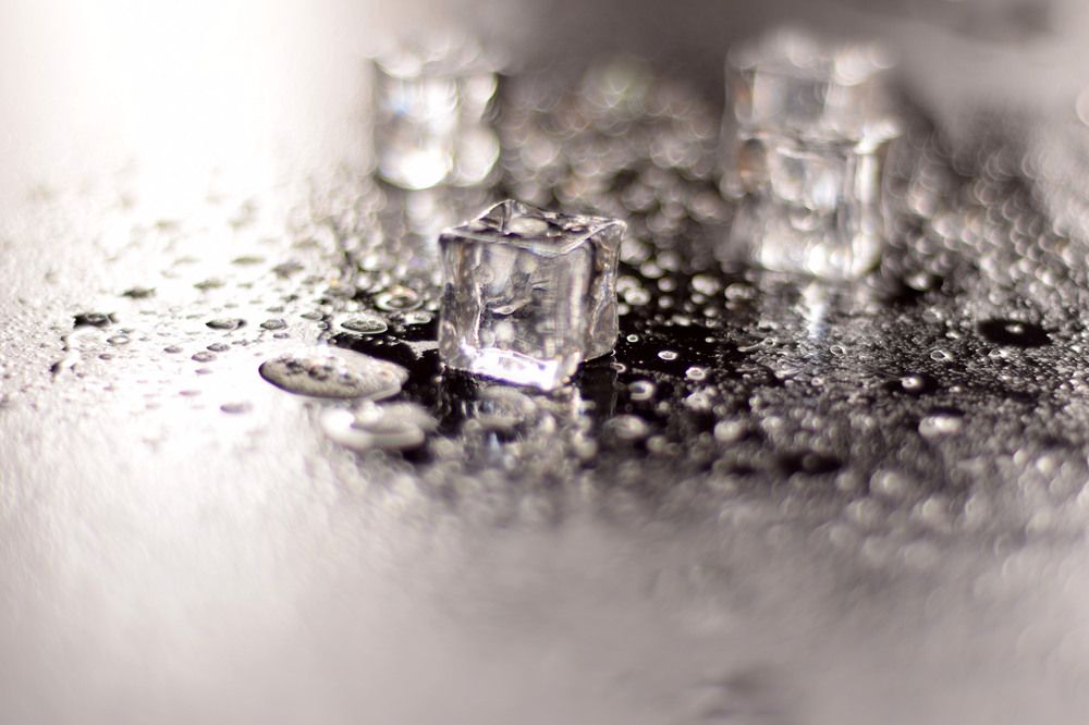 Photograph by Sarah Mirzakazemi