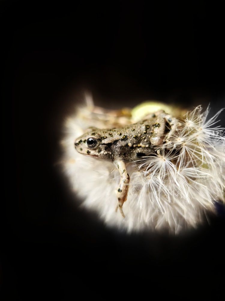 Photograph by Светлана Смирнова