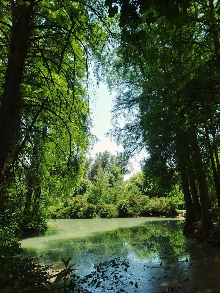 Photograph by Anastasiya Danilova