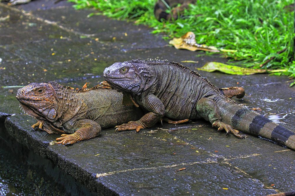 Photograph by Михаил Баевский