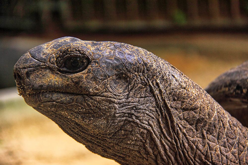 Photograph by Михаил Баевский