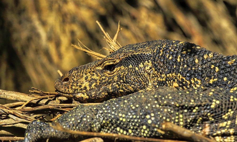 Photograph by Михаил Баевский