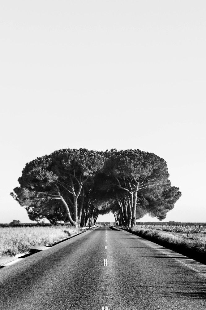 Photograph by João Quitério