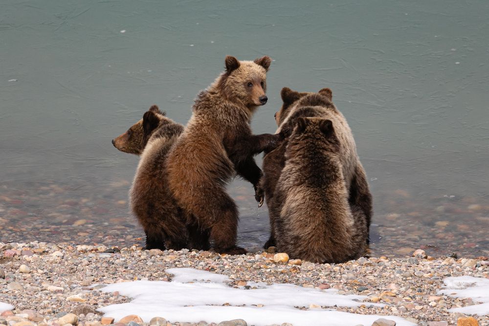 Photograph by Brian Kinghorn