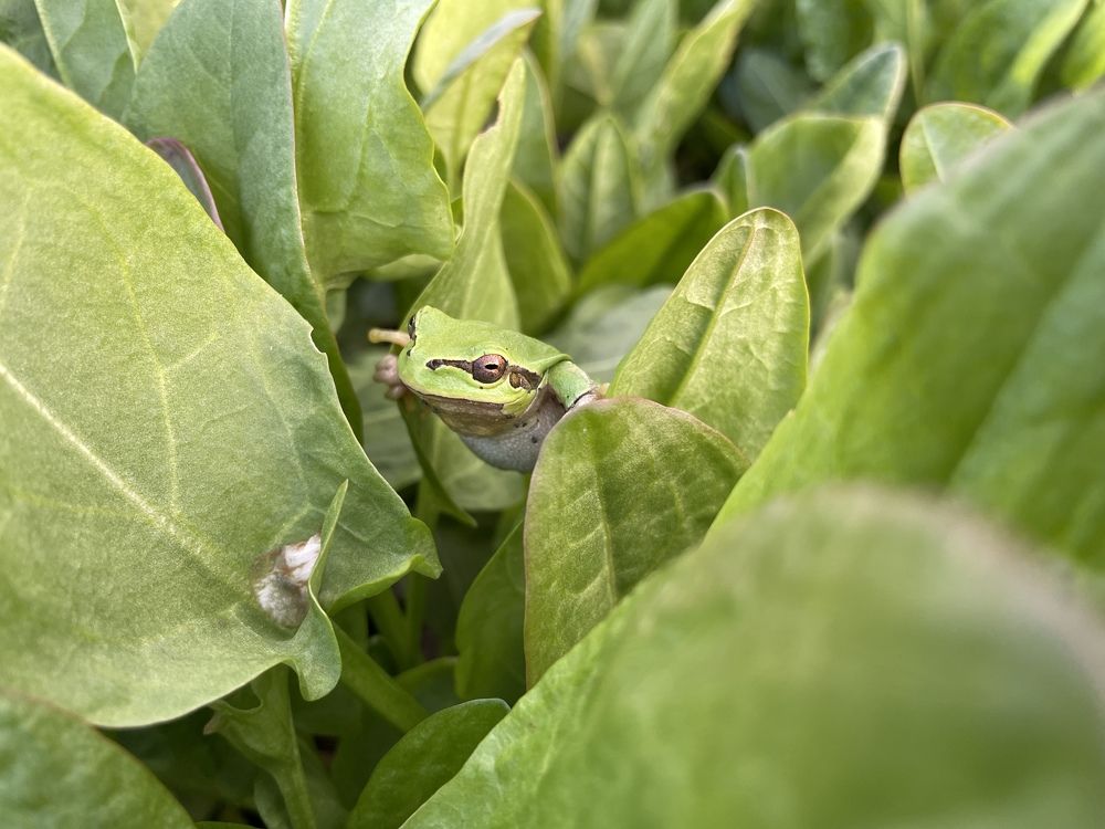 Photograph by Арина Лазурченко