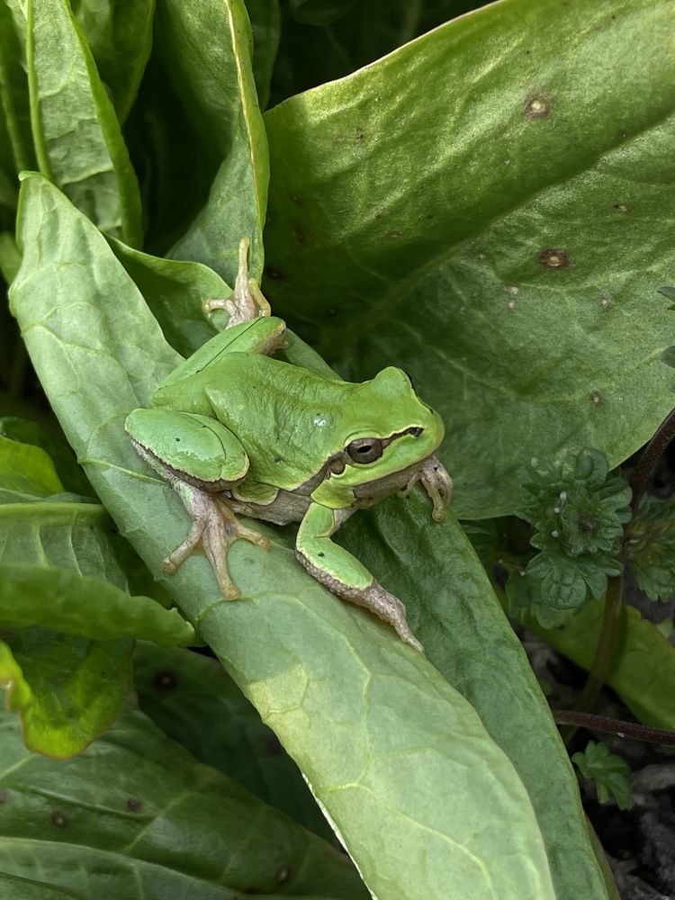 Photograph by Арина Лазурченко
