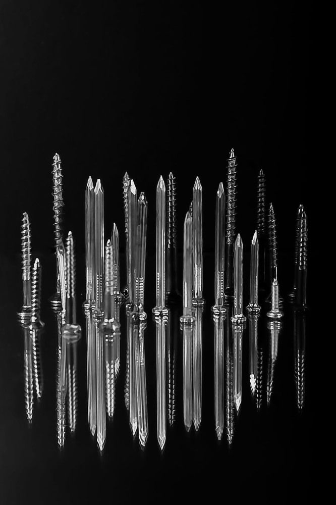 Photograph by Sarah Mirzakazemi