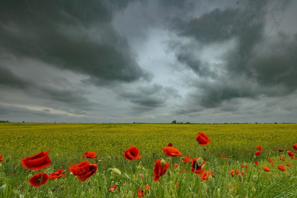 Photograph by Ди Си