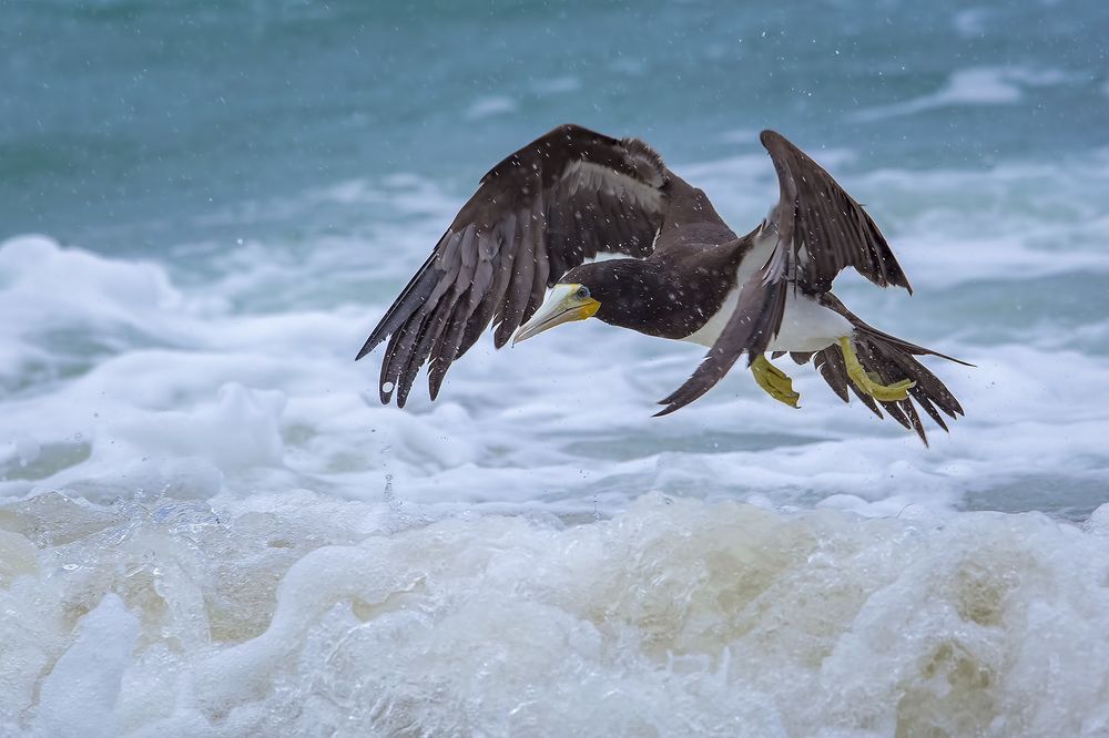 Photograph by André Inidio