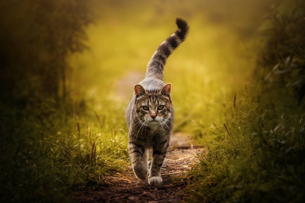 Photograph by Вероника Романенко