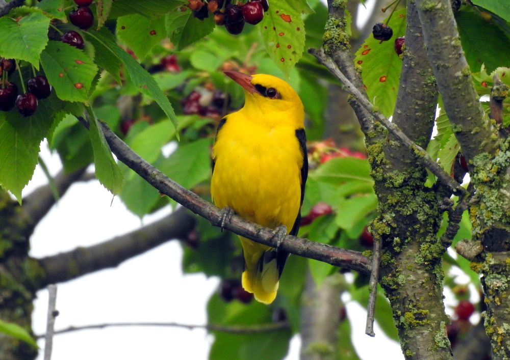 Photograph by Татьяна Калугина
