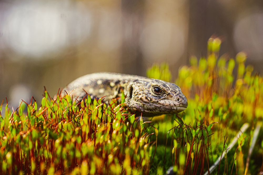 Photograph by Александр Казак