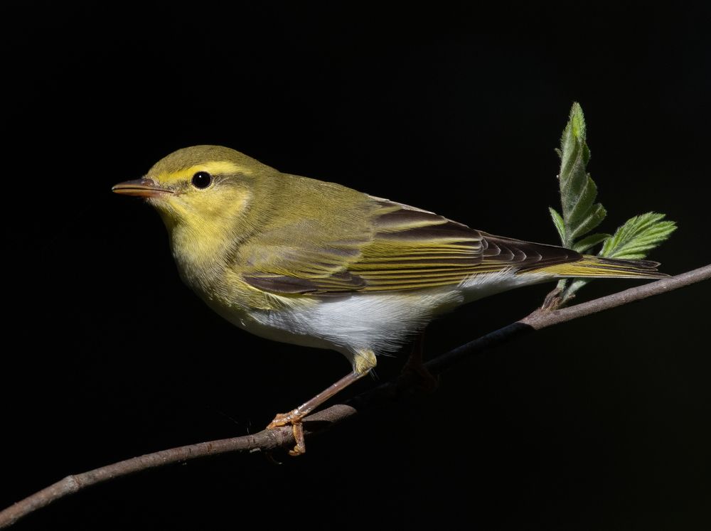 Photograph by Дарья