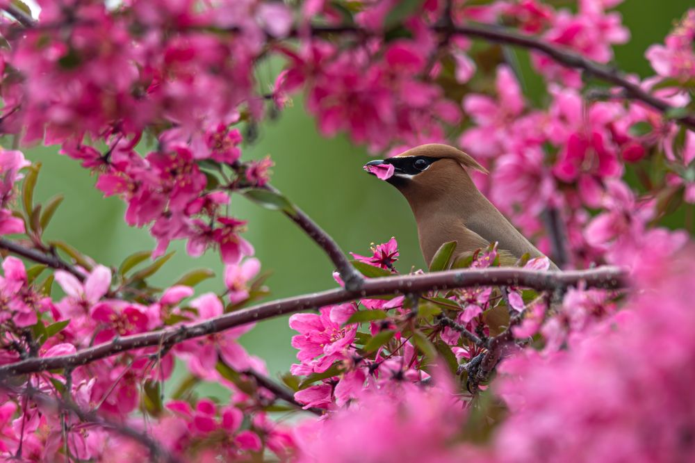 Фотография автора Brian Kinghorn