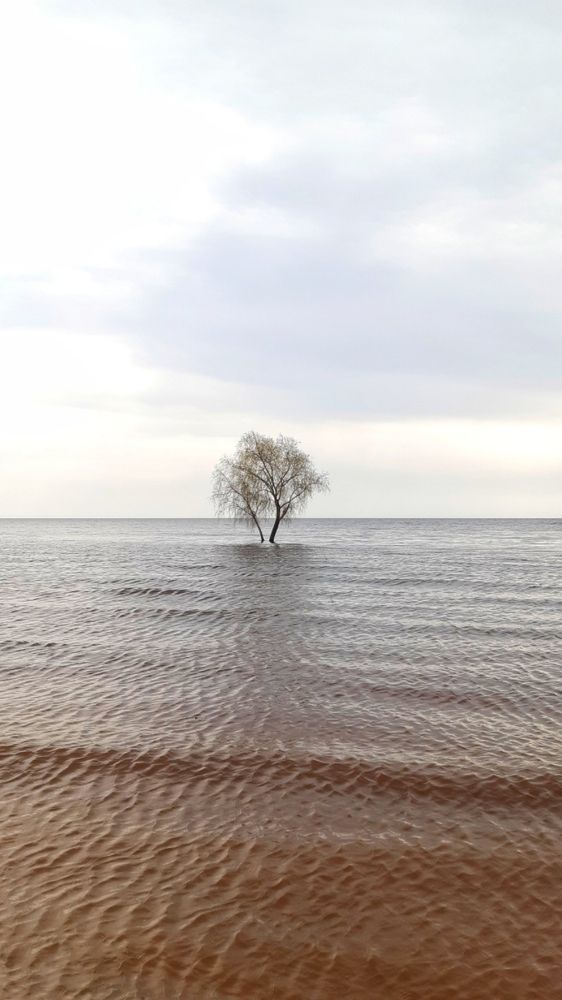 Photograph by Татьяна Смирнова