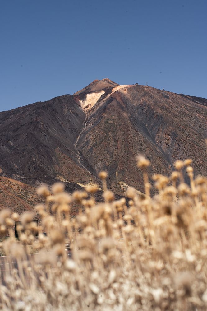 Photograph by Vialeta