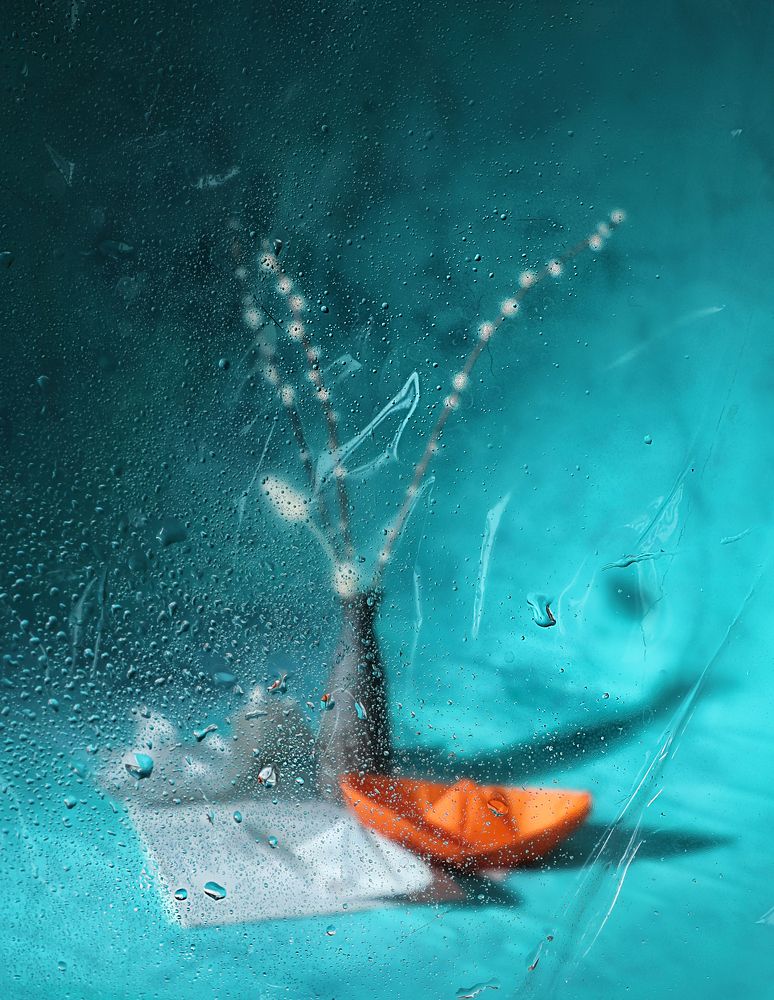 Photograph by Наталья Туева